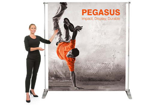 pegasus - foto prodotto pegasus - foto prodotto